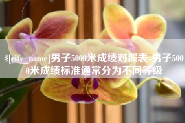 景德镇男子5000米成绩对照表-男子5000米成绩标准通常分为不同等级
