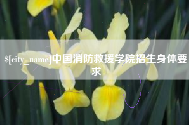 景德镇中国消防救援学院招生身体要求