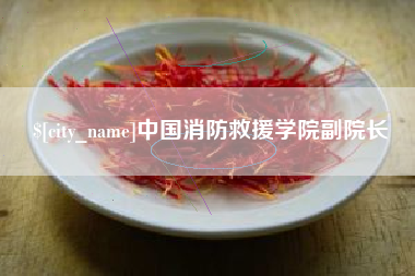 景德镇中国消防救援学院副院长