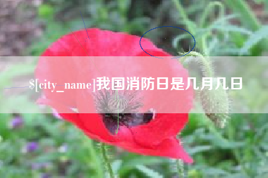 景德镇我国消防日是几月几日