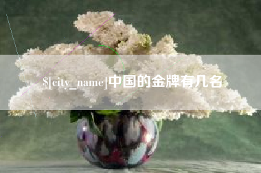 景德镇中国的金牌有几名