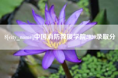 景德镇中国消防救援学院2020录取分