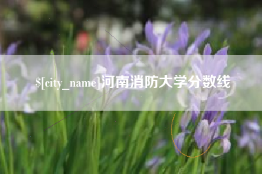 景德镇河南消防大学分数线
