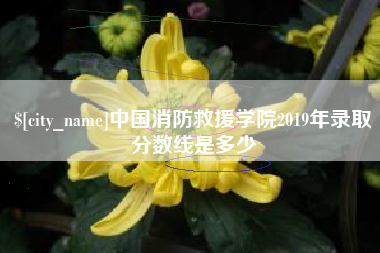 景德镇中国消防救援学院2019年录取分数线是多少