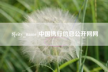 景德镇中国执行信息公开网网