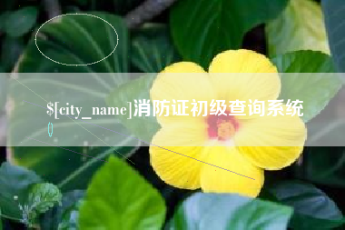 景德镇消防证初级查询系统