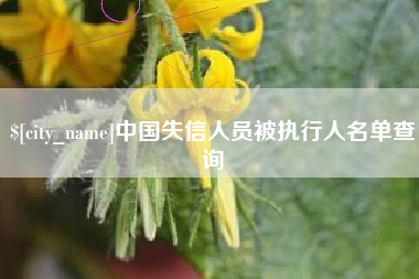 景德镇中国失信人员被执行人名单查询