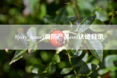 景德镇消防产品cccf认证目录