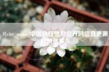 景德镇中国执行信息公开网信息更新时间是多久