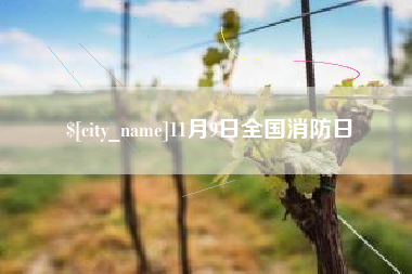 景德镇11月9日全国消防日
