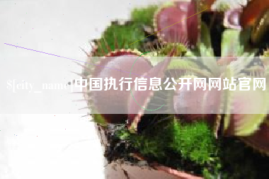 景德镇中国执行信息公开网网站官网