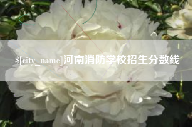 景德镇河南消防学校招生分数线