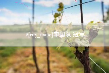 景德镇中国队 冠军
