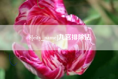 景德镇九宫排除法