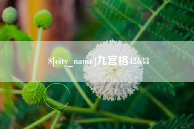景德镇九宫格42633
