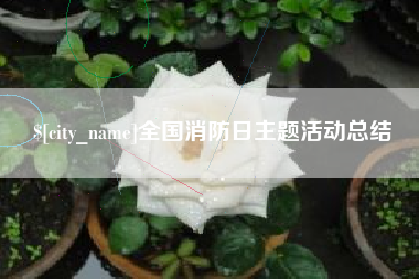 景德镇全国消防日主题活动总结