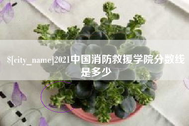 景德镇2021中国消防救援学院分数线是多少