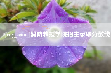 景德镇消防救援学院招生录取分数线
