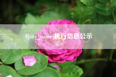 景德镇执行信息公示
