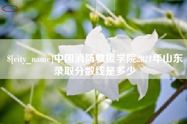 景德镇中国消防救援学院2021年山东录取分数线是多少