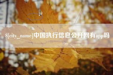 景德镇中国执行信息公开网有app吗