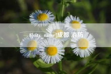 景德镇成都 消防