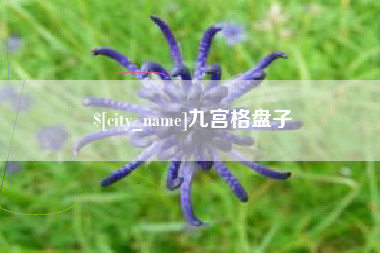 景德镇九宫格盘子