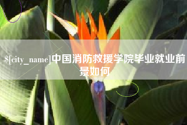 景德镇中国消防救援学院毕业就业前景如何
