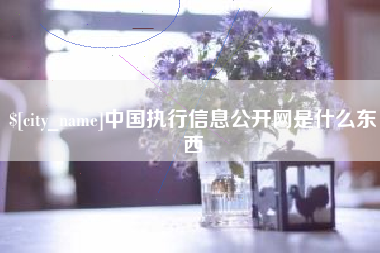景德镇中国执行信息公开网是什么东西