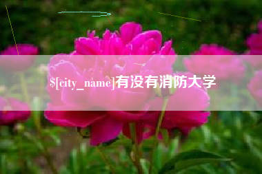 景德镇有没有消防大学