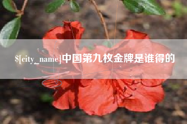 景德镇中国第九枚金牌是谁得的