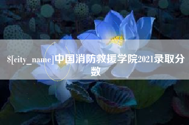 景德镇中国消防救援学院2021录取分数