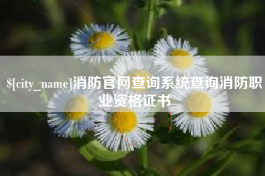 景德镇消防官网查询系统查询消防职业资格证书