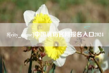 景德镇中国消防官网报名入口2024