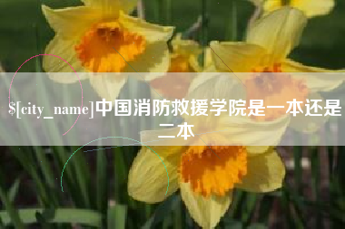 景德镇中国消防救援学院是一本还是二本