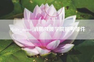 景德镇消防救援学院报考条件