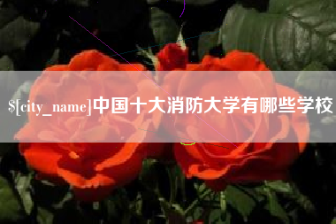 景德镇中国十大消防大学有哪些学校