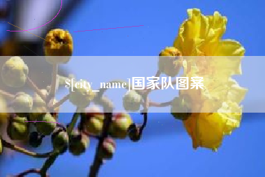 景德镇国家队图案