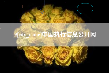 景德镇中国执行信息公开网