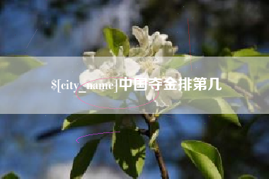 景德镇中国夺金排第几