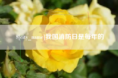 景德镇我国消防日是每年的
