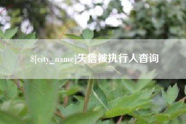 景德镇失信被执行人杳询