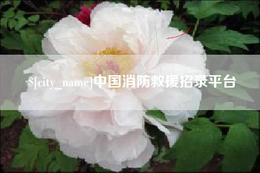 景德镇中国消防救援招录平台
