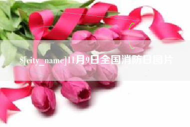 景德镇11月9日全国消防日图片