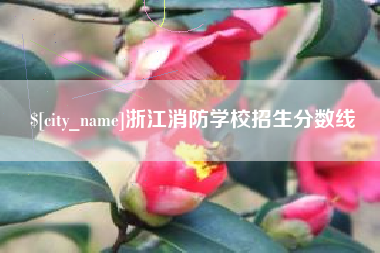 景德镇浙江消防学校招生分数线