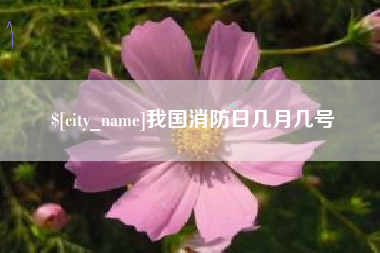 景德镇我国消防日几月几号