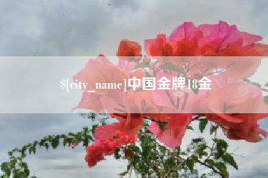 景德镇中国金牌18金