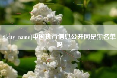 景德镇中国执行信息公开网是黑名单吗