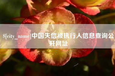 景德镇中国失信被执行人信息查询公开网址