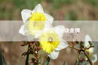 景德镇奥运会39块金牌